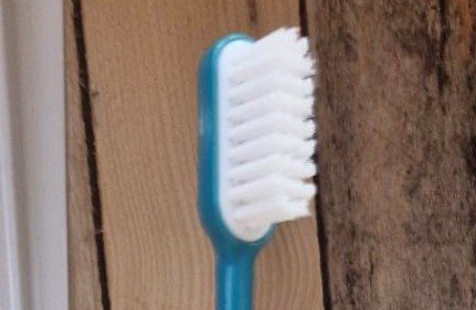 Recharge brossette pour brosse à dent